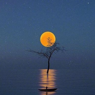 Never give up!Fighting!Fighting!Fighting!