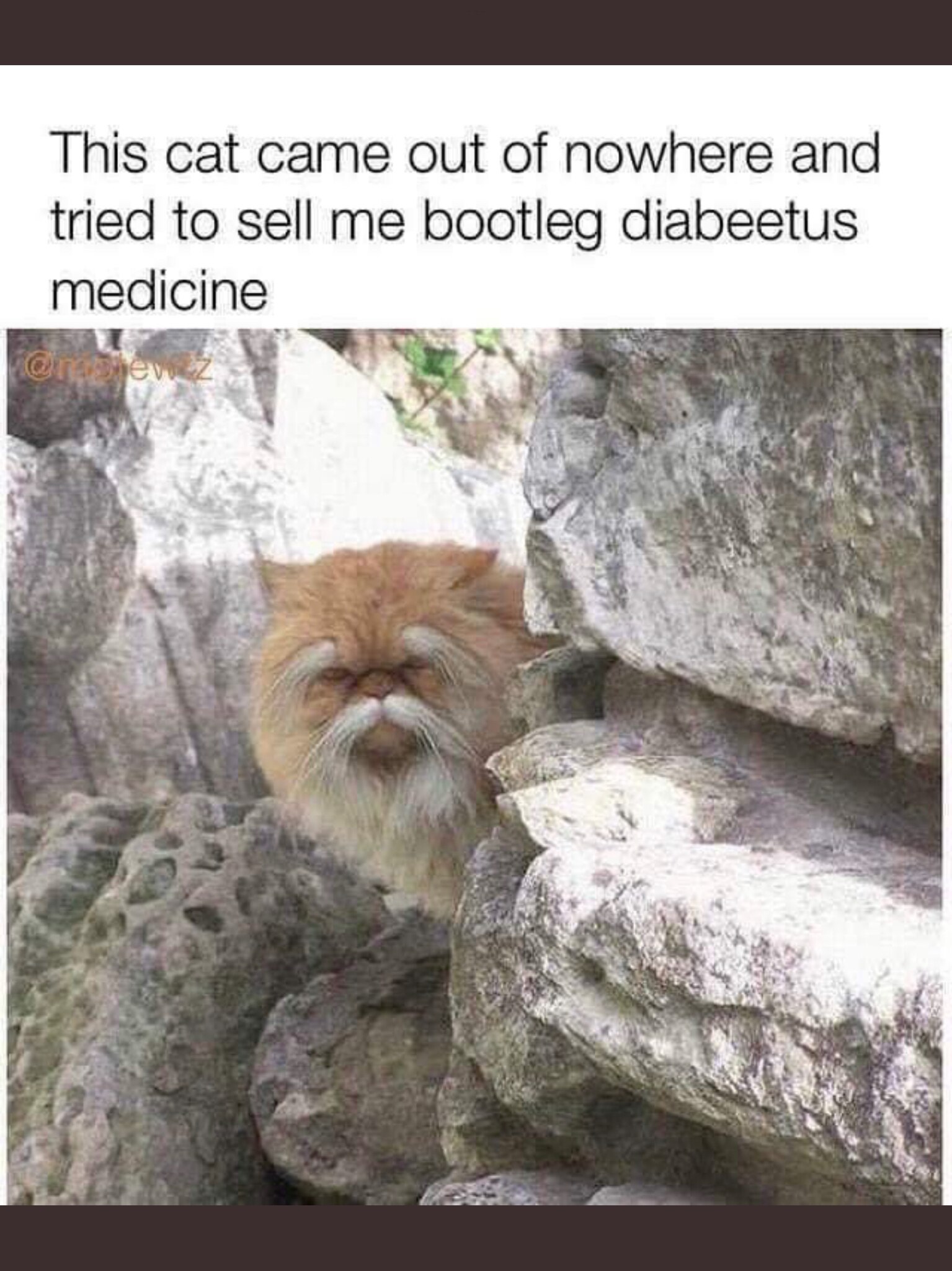 View SLAPPY780's post on GETTR. Join the discussion, share your thoughts, and connect with the community.