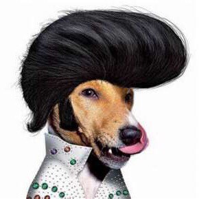 #HailState
#CowboysNation