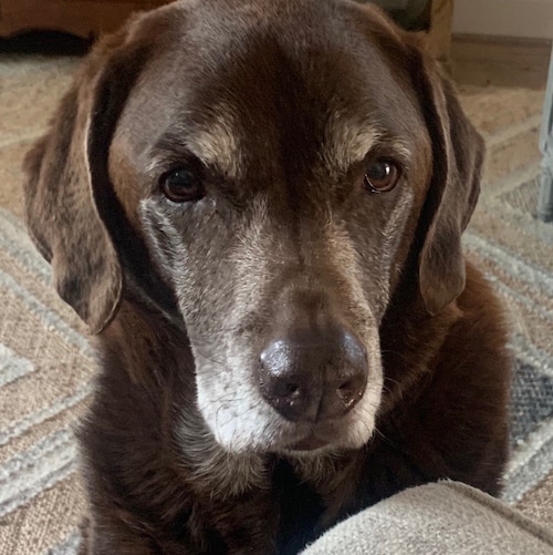 Assistant to Assistant Manager of locally owned bar and grille