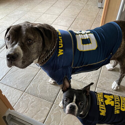 Christian , conservative, 
Michigan fan , future marijuana grower .