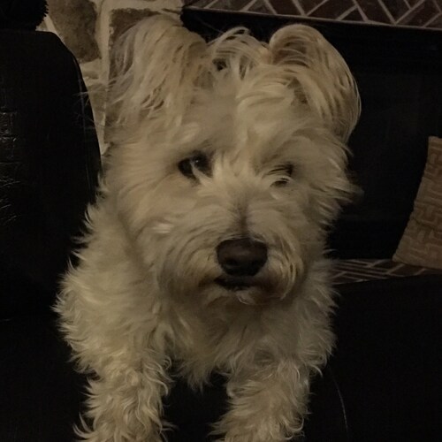 RN, mountain biker, baker, quilter, school nurse