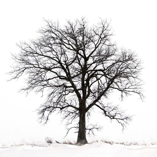 Not only do I not know what's going on, I wouldn't know what to do about it if I did.

As such Tweets are my own and sho...