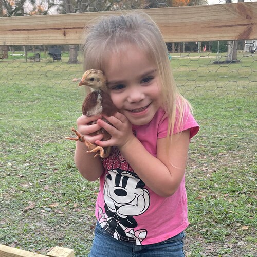 Southern Chicken Farmers