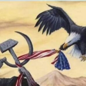 NATIVE AMERICAN
#Trump2024 #2ndA 
#AMERICAFIRST
#BLUELIVESMATTER
#SUPPORTOURVETS #WOUNDEDWARRIORS