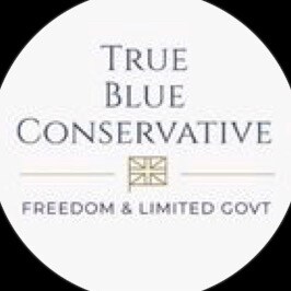Proud conservative & patriot 🇺🇸 
Follow me on Insta & Tiktok @trueblueconservative