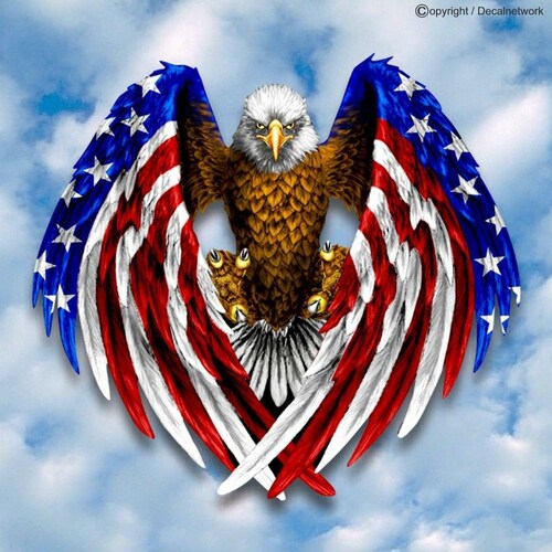 We all should be who we are and not judge anyone.  Live free!!   Proud to be an American and a Trump supporter!!