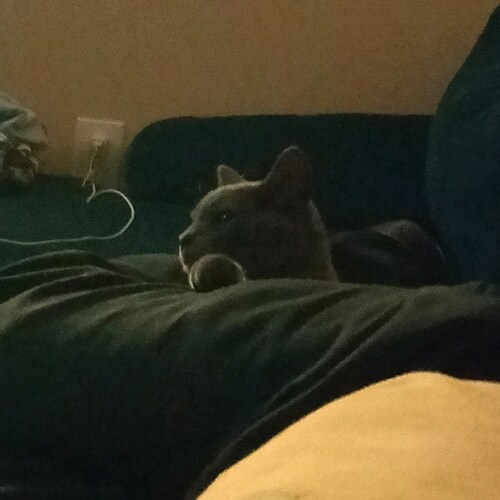 hardest worker this side of the Mississippi