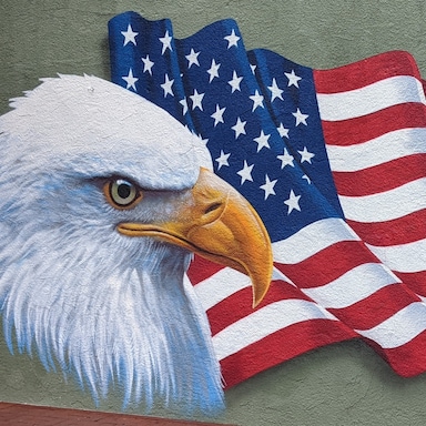 🚛🇺🇲Onecrazyd🇺🇲🚛