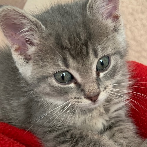 God, family, country
retired microbiologist
Trump won. MAGA
I don’t usually respond to DM