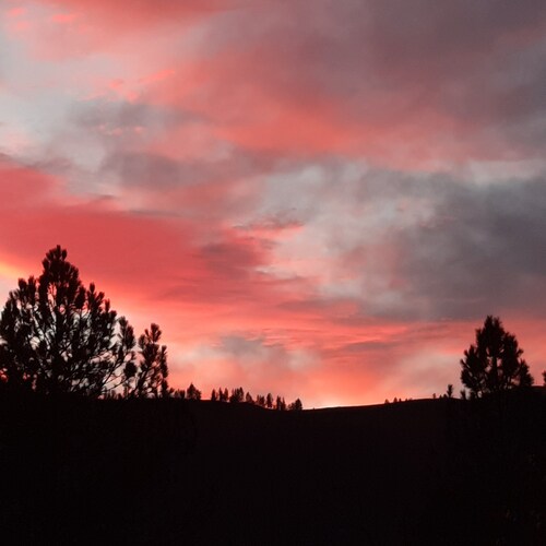 Very outspoken woman from Idaho. I cuss alot so if you are easily offended just move along. I love. music so tag a song ...