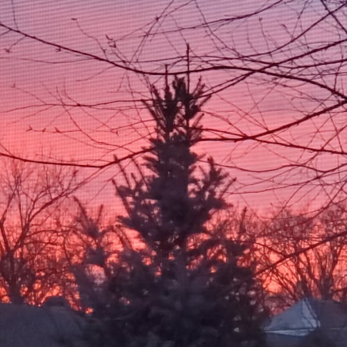 @KieckCarl 


I appreciate many of the truthful memes your account has posted!


Well done!