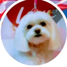 🇺🇸THANK YOU🇺🇸
❤️President Trump❤️
✝️May God Bless You and your team of Super Heros!