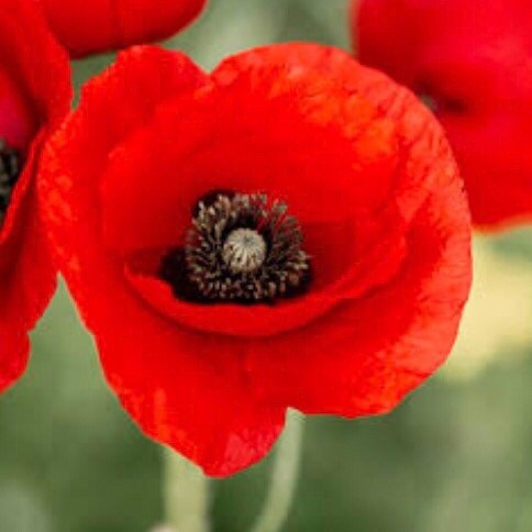 Movie 
“Sound of freedom.” 
WE NEED to know to be able to see and stop these crimes. 

Make sure ALL are charged.  YES A...