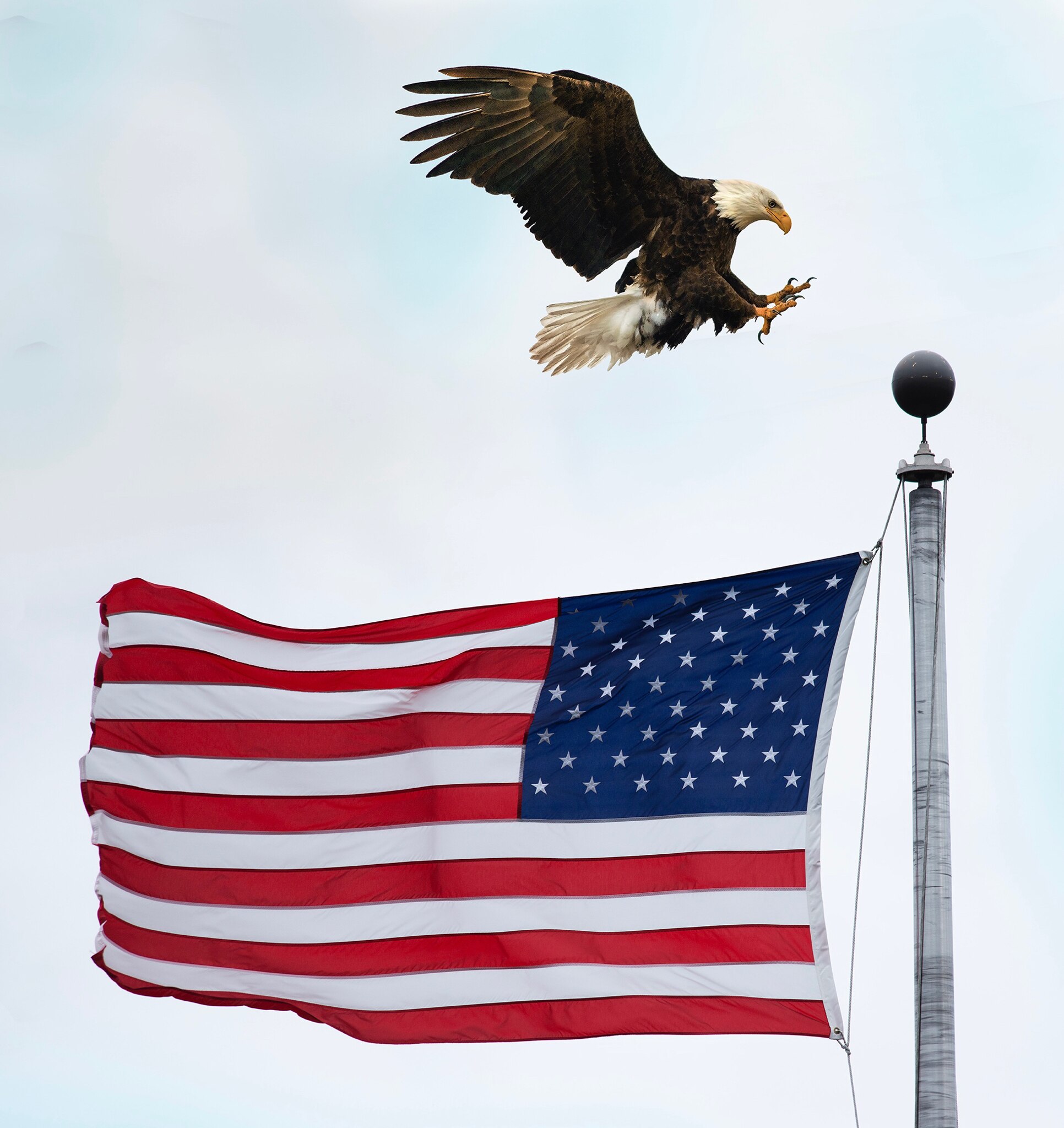 HAPPY 4TH OF JULY…!!!
#freedom #maga