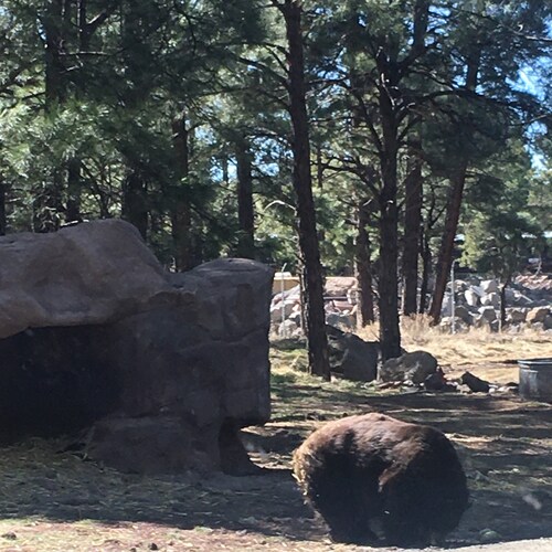 Visit george_65's profile on GETTR. View their posts, photos, videos, and connect with them on the social platform.