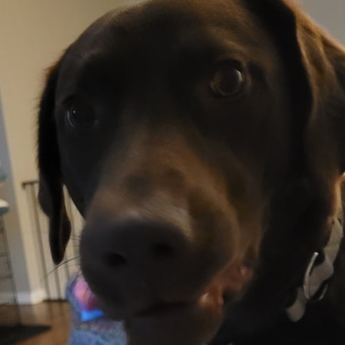 "When good people in any country cease their vigilance and struggle, then evil men prevail " Pearl S Buck.
Fight, fight ...