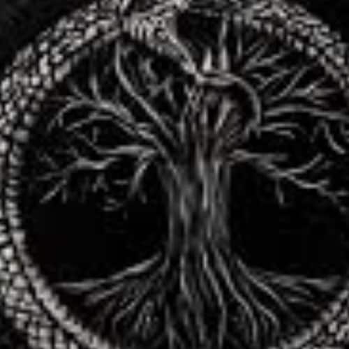 Visit TheToban22's profile on GETTR. View their posts, photos, videos, and connect with them on the social platform.