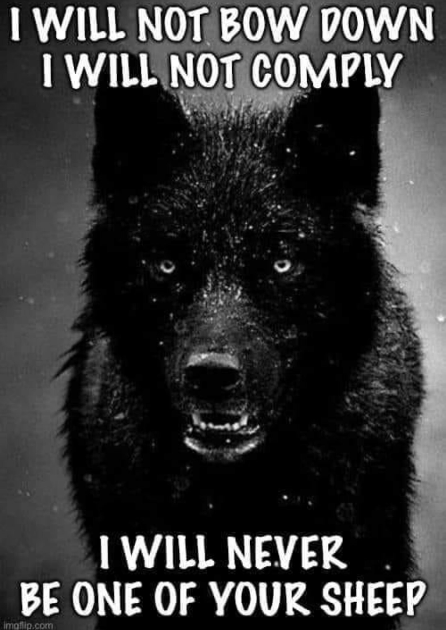 Patriots Unite!!! 🇺🇸❤🇺🇸❤ We All Follow Back. Hope you all are having a great week! 
🗽❤🗽

#Donn...