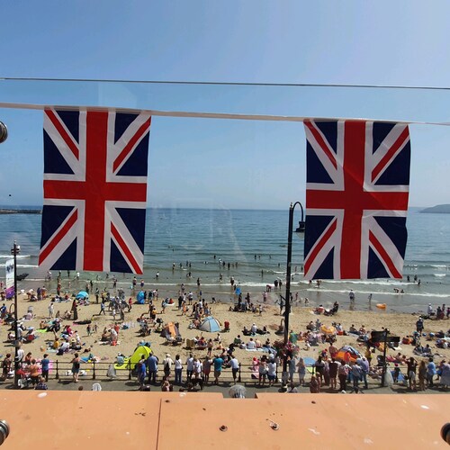 Vehemently anti-left - they're all sick.