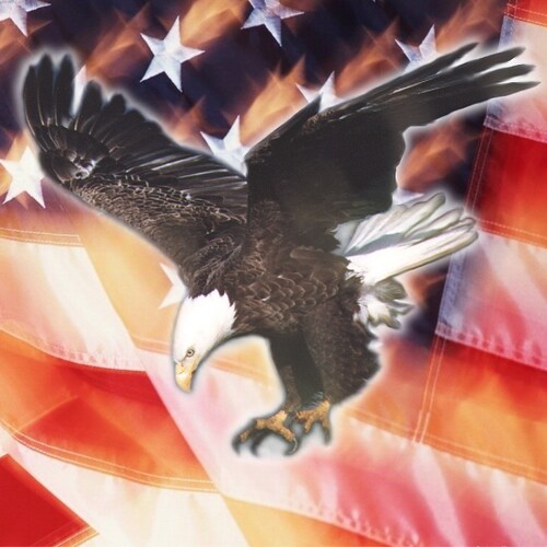 Alaskan Fisherman retired, Boater, Commercially Rated Pilot, Vietnam Veteran, Grandfather, Conservative, Man of Faith