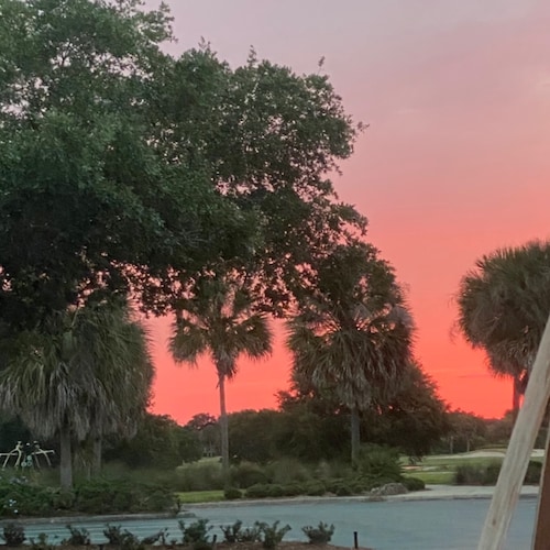 Strong President Trump Supporter-MAGA-Patriot! My garden is my church. It’s where God shows me some of his creations and where I get quiet time with Him.