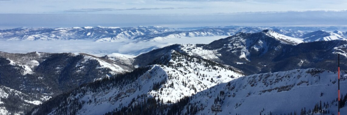 UtahCarey
