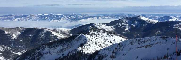 UtahCarey