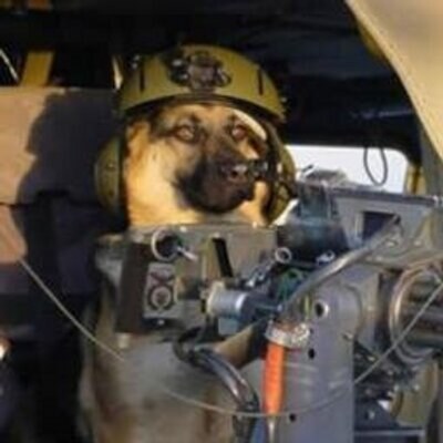 Software executive, father, #USNavy veteran. #Patriotism #Liberty German Shepherds. I did not serve our country for socialism!