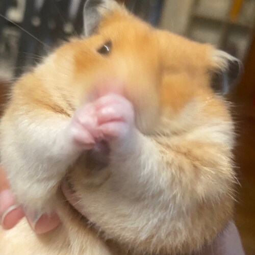 Christian,wife, mother, homeschooler #proudtobeprolife