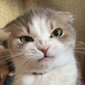 California Conservative