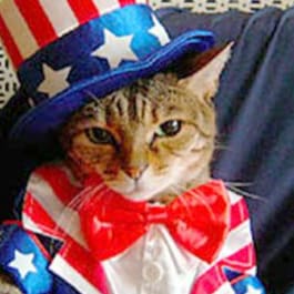Conservative Freedom Loving American !  Save America!!!! HUGE CAT LOVER!!!!