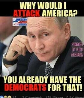 @greylady Follows back