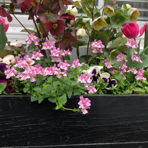 Graduated Magna Cum Laude from the University of Common Sense