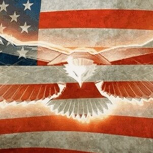 ULTRA MAGA!! GOD BLESS AMERICA🇺🇸WWG1WGA🇺🇸Twithole refuge. IFBAP