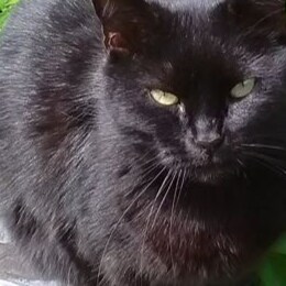 Visit Benby's profile on GETTR. View their posts, photos, videos, and connect with them on the social platform.