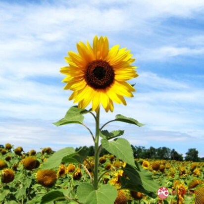 Visit thinkingbird's profile on GETTR. View their posts, photos, videos, and connect with them on the social platform.