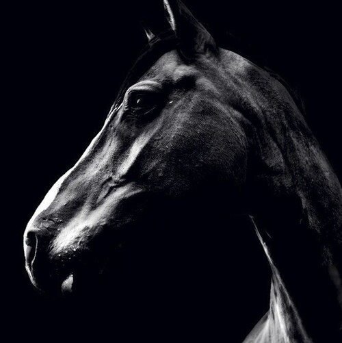 Midnight Rider. In The Fight For Ultimate And Permanent Justice Against The Global Cabal. By Any Means Necessary. Facts ...