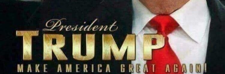 FANOFTRUMP $8๐ ๐ ๐ Z