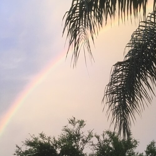 US Navy (Retired)  I ❤️ my Vets!  ❤️🇺🇸❤️