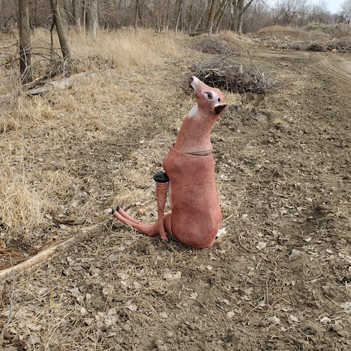 Visit Mindyloohoo's profile on GETTR. View their posts, photos, videos, and connect with them on the social platform.