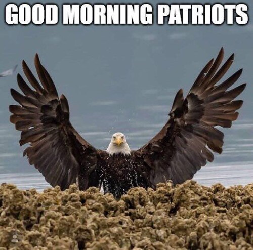 lib·er·ty  Protected by Bill of Rights,free from confinement,servitude,forced labor,oppressive restriction,right to act without government control & other power