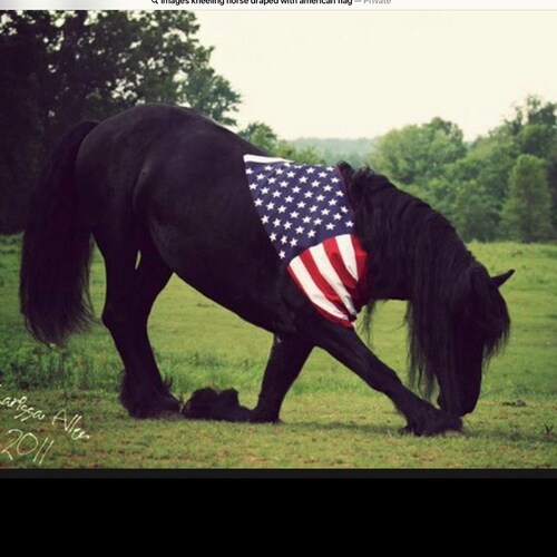 “We The People”    Proud daughter of Navy Veteran WWII,  sister of U.S. Airforce Veteran  
Love God and Country