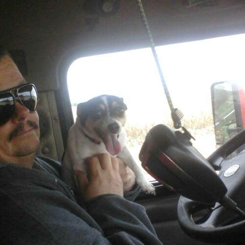 @hawgdawg To Bad our President is wanted in Ukraine on Felony Bribery Charges.Thats probably why he's letting ...