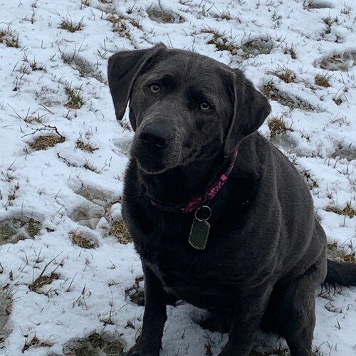 Twitter is an enemy
Fakebook is an enemy
YouTube is an enemy
Spotify is an enemy