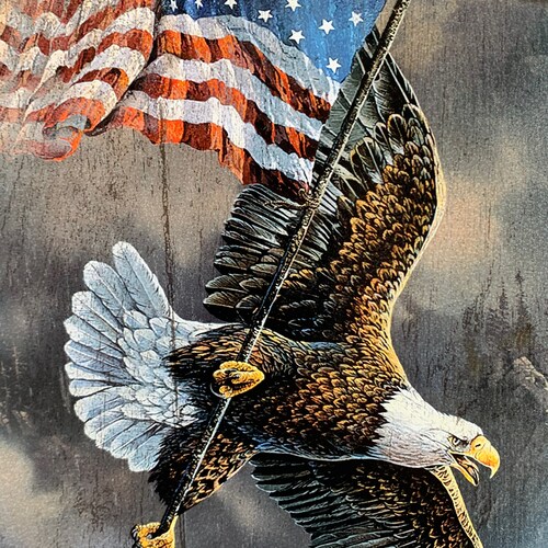 Husband, Dad, Small Business Man, USA, Save America, Proud American, #SupportOurMilitary, #BackTheBlue, #1A, #2A, Pro-Li...