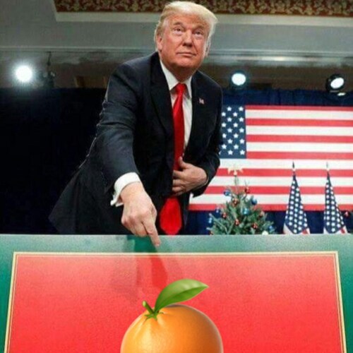 trump won ! the virus came from wohan lab and governments all over the world are using it make laws we would never agree...