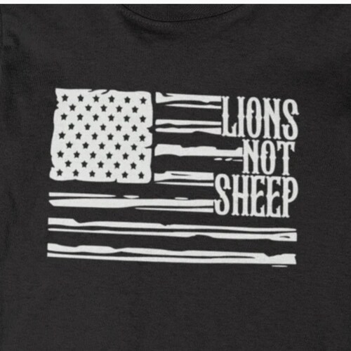 Conservative Christian- Trump won & will win again! banned from Twitter bc I spoke the truth. #Americafirst #novaccinema...