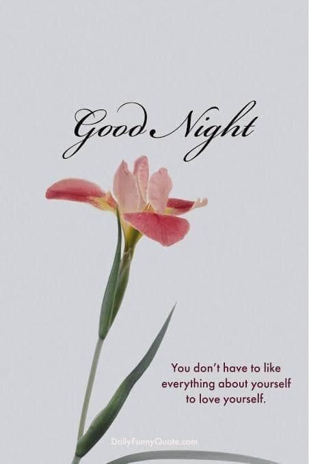 View Xenawaywood's post on GETTR. Join the discussion, share your thoughts, and connect with the community.