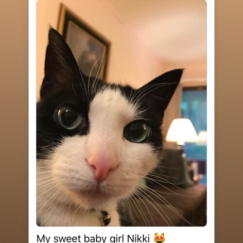 Visit jbigred57's profile on GETTR. View their posts, photos, videos, and connect with them on the social platform.